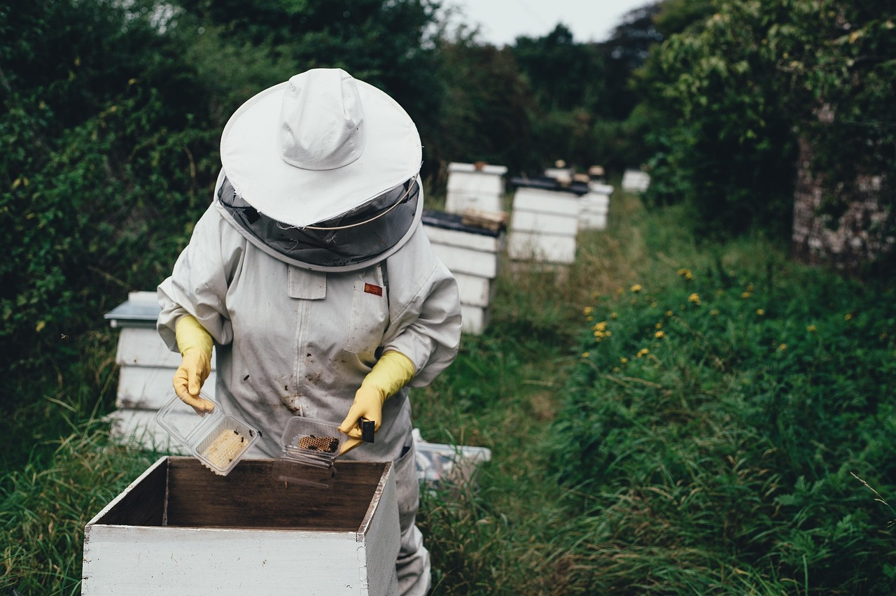 Modern beekeeper working in a tech-equipped apiary with smart hive tools