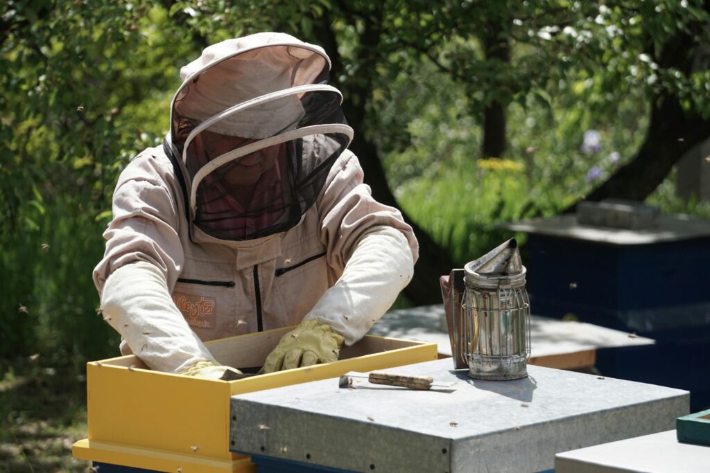 Beekeeper insulating and preparing a wooden hive for winter with proper ventilation