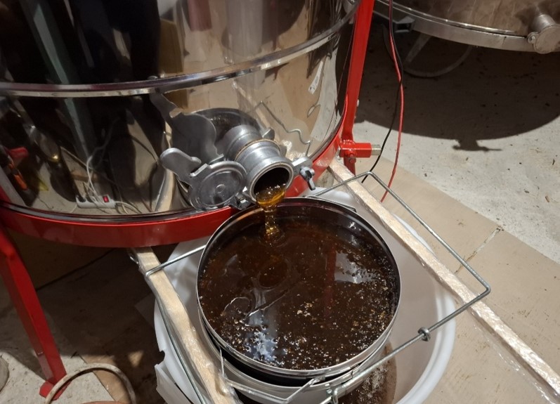 Fresh organic honey flowing from a stainless steel extractor into a harvesting bucket, representing a successful annual honey yield per hive.