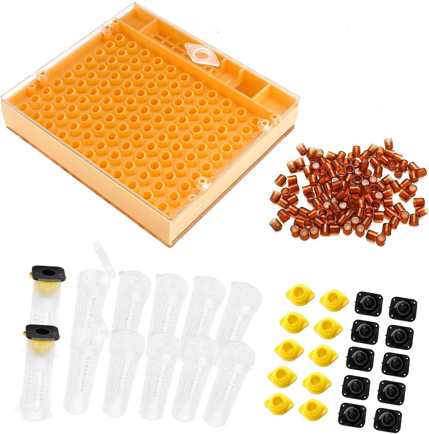 Jenter Queen Rearing Kit