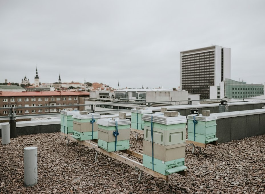 Urban beekeeping setup on a modern city rooftop with skyscrapers.
