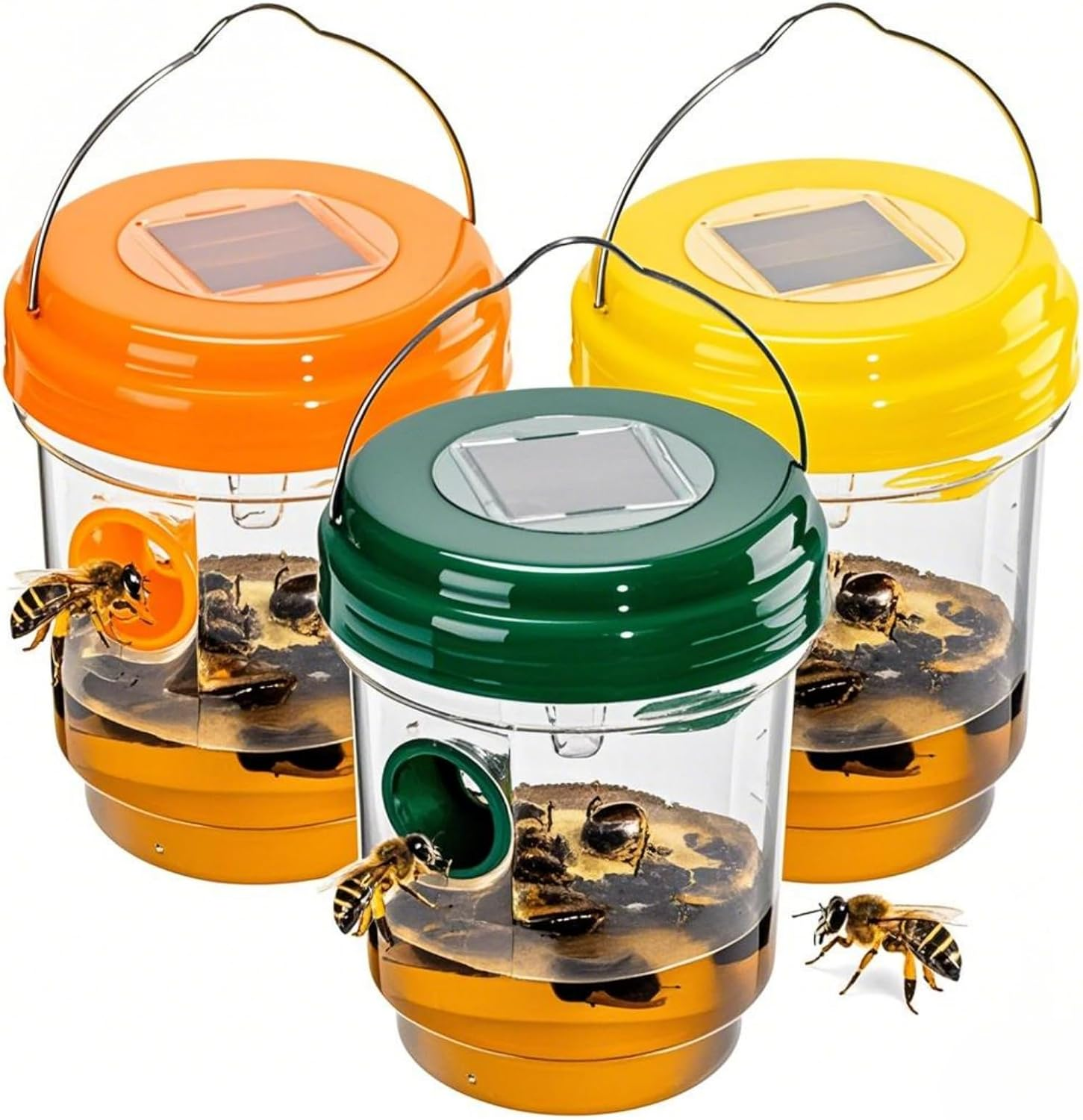 High-Efficiency Hornet and Wasp Trap