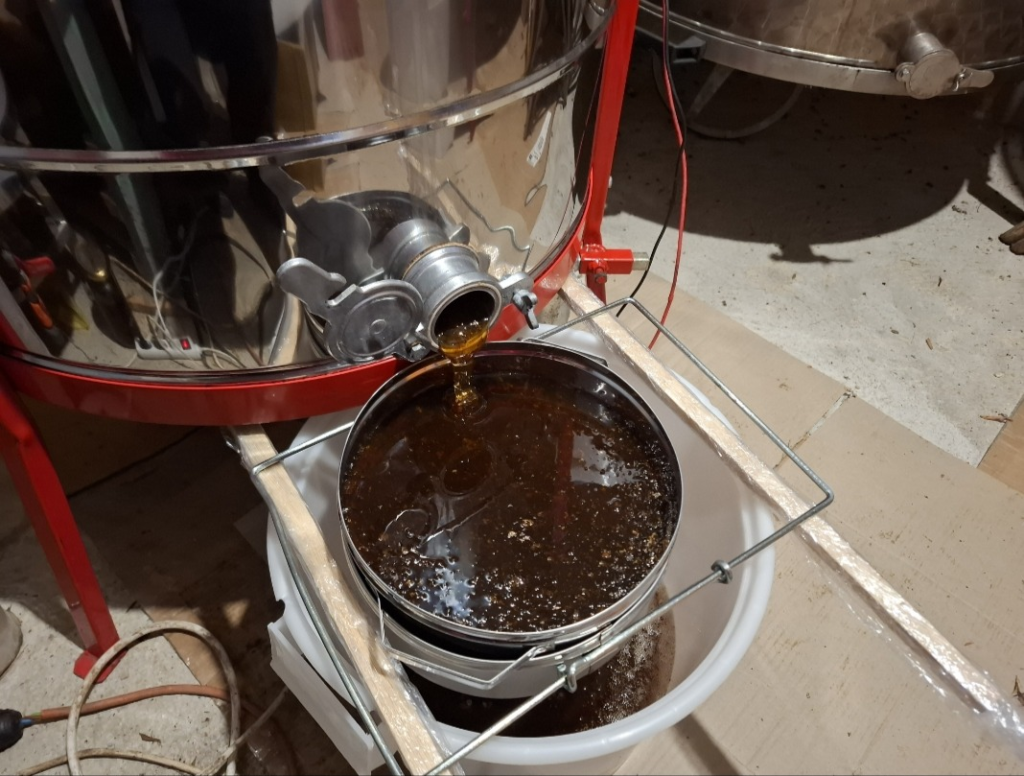 Golden raw honey dripping from a professional stainless steel honey extractor, a must-have beekeeping equipment for successful harvesting.